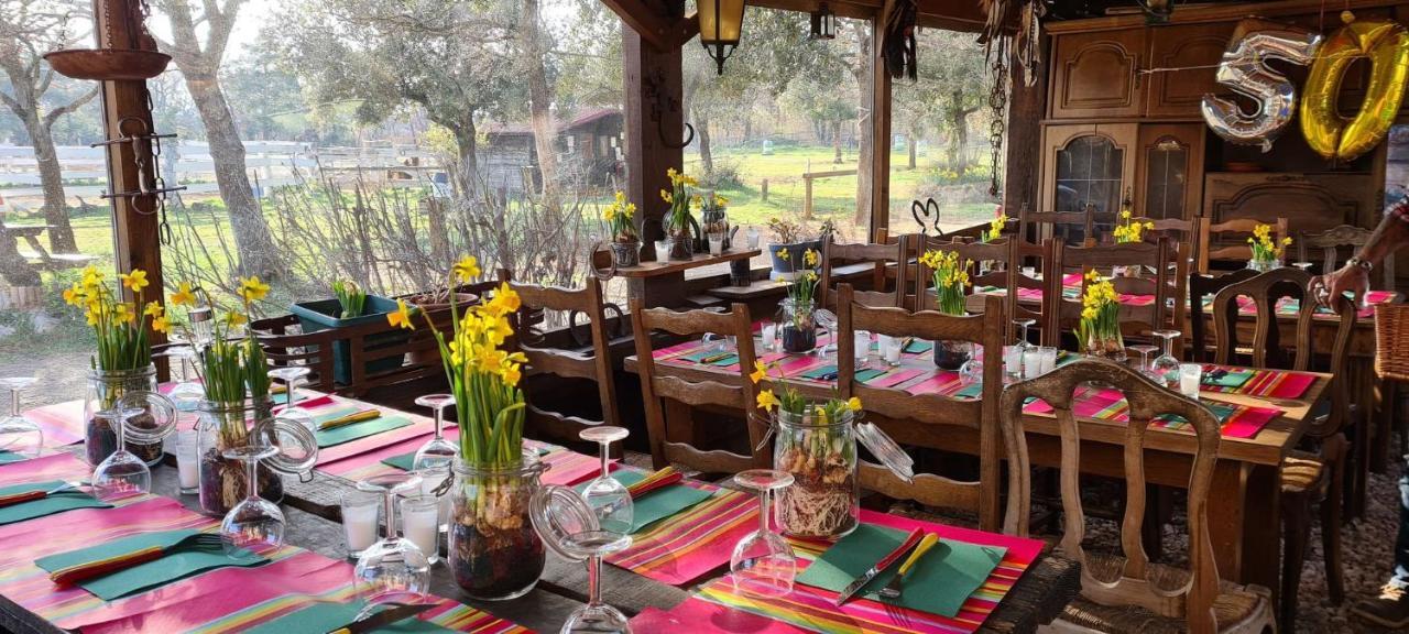 Moissac-Bellevue Ranch Du Puits De Riquier酒店 外观 照片